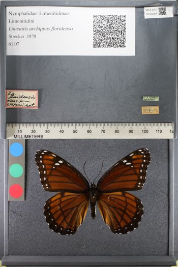 Media type: image;   Entomology 140504